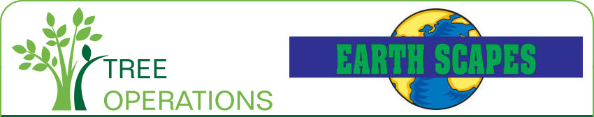 Tree Operations and Earthscapes
